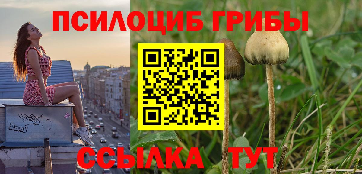купить  цена  Вход с VPN  Сургут  Псилоцибиновые грибы ЛСД 